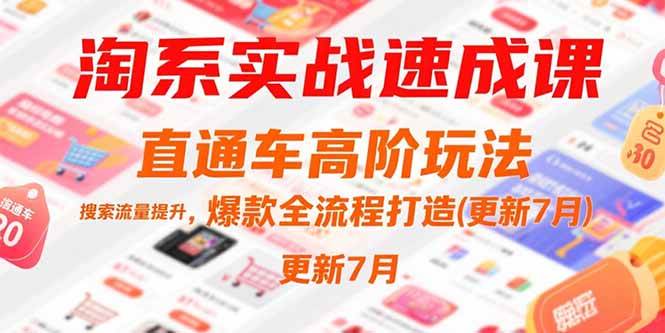 （15374期）淘系实战速成课，直通车高阶玩法，搜索流量提升，爆款全流程打造(更新7月)-777网创网