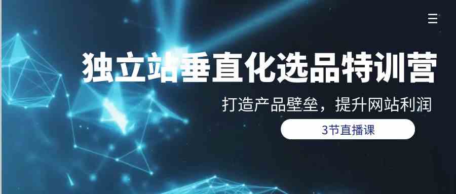 （9925期）独立站-垂直化选品训练营，打造产品壁垒，提升网站利润（3节直播课）-777网创网