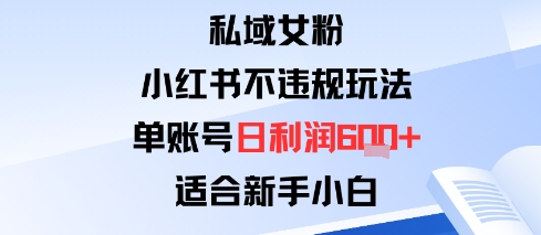 私域女粉:小红书平台不违规玩法单账号日利润6张+适合新手小白