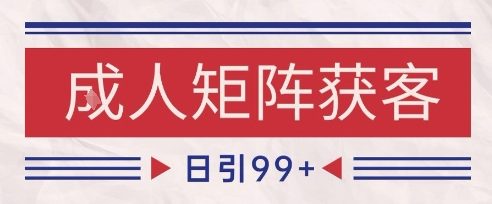 小红书某音橙人赛道引流获客，自热矩阵日引200+【揭秘】-777网创网