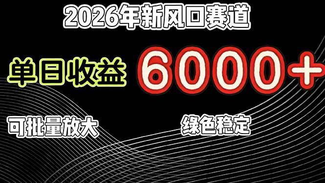 （17135期）2026年新风口赛道，当日6000+以上，可批量放大，月收入20万+，长期绿色稳定的项目-777网创网