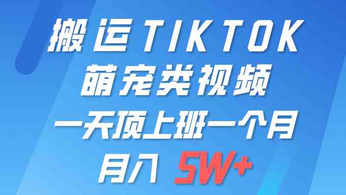 图片[1]-（9931期）一键搬运TIKTOK萌宠类视频 一部手机即可操作 所有平台均可发布 轻松月入5W+-777网创网