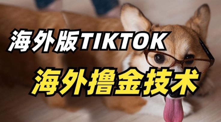 抖音海外版tiktok撸金技术,这个风口行业,赚钱真的不难【揭秘】-777网创网