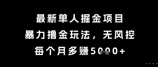 最新单人掘金项目，暴力撸金玩法，无风控，每个月多挣5k+【揭秘】-777网创网