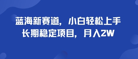 蓝海新赛道,小白轻松上手,长期稳定项目,月入2W