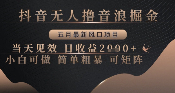 抖音无人撸音浪掘金,五月最新风口项目,当天见效,日收益多张,小白可做简单粗暴可矩阵【揭秘】-777网创网