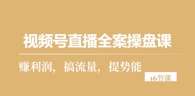 （10207期）视频号直播全案操盘课，赚利润，搞流量，提势能（16节课）-777网创网