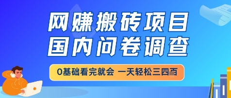 网创搬砖项目,国内问卷调查,小白轻松上手,一天三四张的也不难,干就完了【揭秘】-777网创网