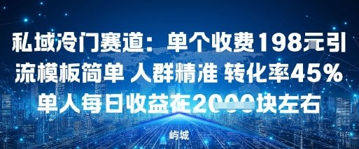 私域冷门赛道:单个收费198米引流模板简单人群精准转化率45%单人每日收益在1k+
