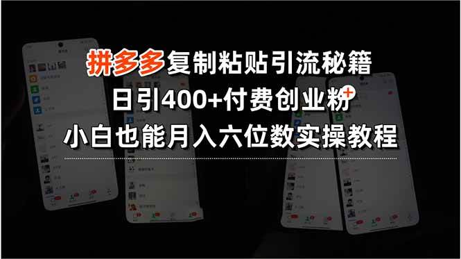 （15613期）拼多多复制粘贴引流秘籍，日引400+付费创业粉，小白也能月入六位数实操…-777网创网