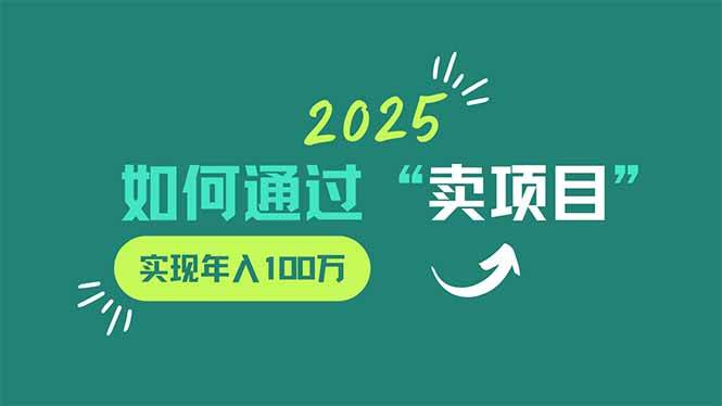 图片[1]-（14176期）2025年如何通过“卖项目”实现年入100万-777网创网