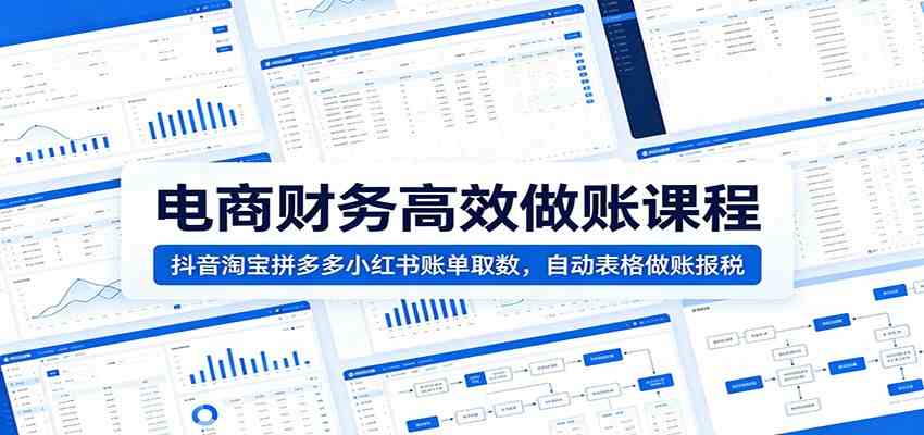 电商财务高效做账课程：抖音淘宝拼多多小红书账单取数，自动表格做账报税-777网创网