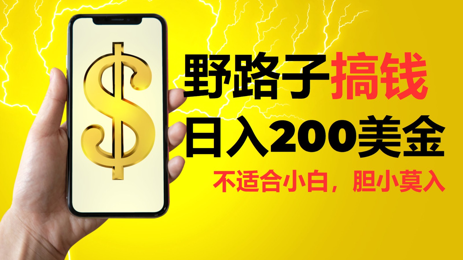 挂机野路子搞钱，日入200美金，路子很野，小白莫入-777网创网