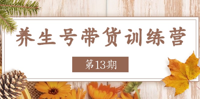 养生号带货训练营【第13期】收益更稳定的玩法，让你带货收益爆炸-777网创网