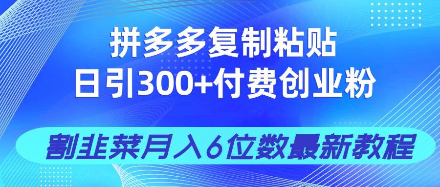 （14232期）拼多多复制粘贴日引300+付费创业粉，割韭菜月入6位数最新教程！-777网创网