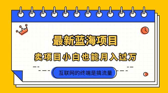 （14289期）2025年最新蓝海项目，卖项目小白也能月入过万-777网创网