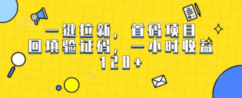一键拉新，首码项目，回填验证码，一小时收益1张-777网创网