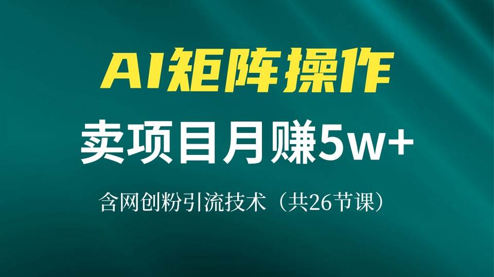 （13335期）网创IP打造课，借助AI卖项目月赚5万+，含引流技术（共26节课）-777网创网