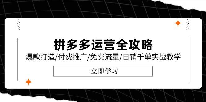 （15085期）拼多多运营全攻略，爆款打造/付费推广/免费流量/日销千单实战教学/6月更新-777网创网
