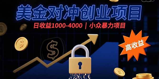（15642期）美金对冲创业项目，日收益1000-4000，小众暴力项目-777网创网