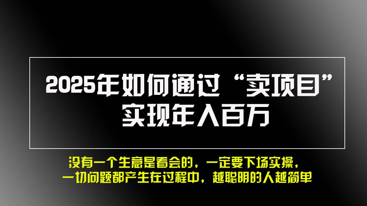 （13468期）2025年如何通过“卖项目”实现年入百万，做网赚必看！！-777网创网