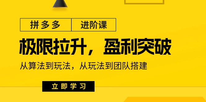 （11435期）拼多多·进阶课：极限拉升/盈利突破：从算法到玩法 从玩法到团队搭建-18节-777网创网