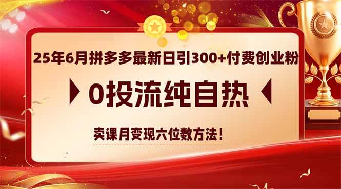 （14989期）25年6月拼多多最新日引300+付费创业粉，0投流纯自热 卖课月变现六位数方法-777网创网