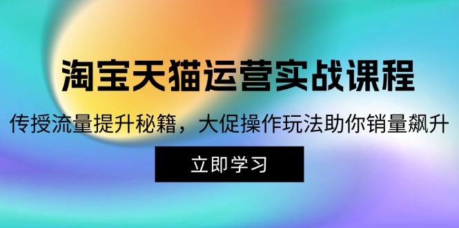 (12959期)淘宝&天猫运营实战课程,传授流量提升秘籍,大促操作玩法助你销量飙升-777网创网