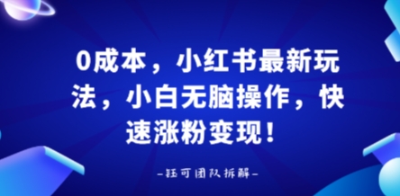 0成本，小红书最新玩法，小白无脑操作，快速涨粉变现-777网创网