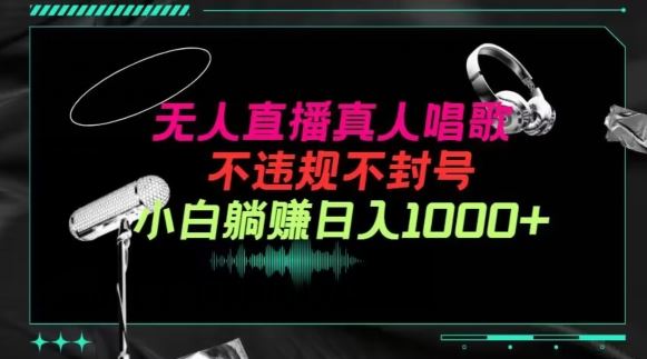 抖音24小时无人直播音乐,不违规,不封号纯撸音浪,小白实操当天日入1000+【揭秘】-777网创网