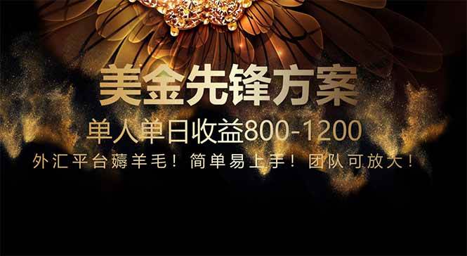 （14761期）免费技术！小众赛道！一年布局抵三年努力，每日800+-777网创网