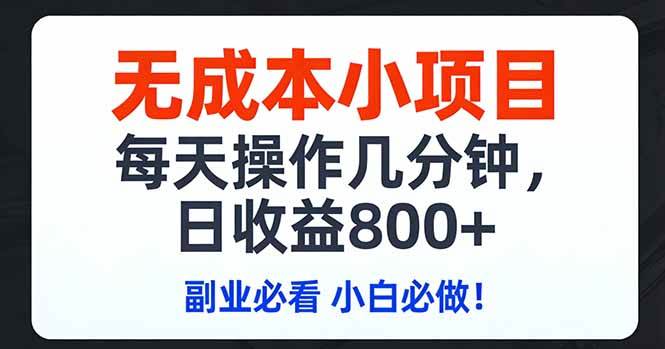 （17447期）无成本小项目,每天操作几分钟,日收益800+ 副业必看 小白必做！-777网创网