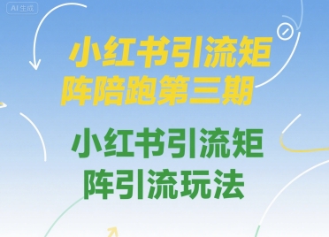 小红书引流矩阵陪跑第三期,小红书引流矩阵引流玩法-777网创网