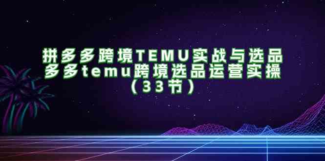 拼多多跨境TEMU实战与选品,多多temu跨境选品运营实操(33节)-777网创网