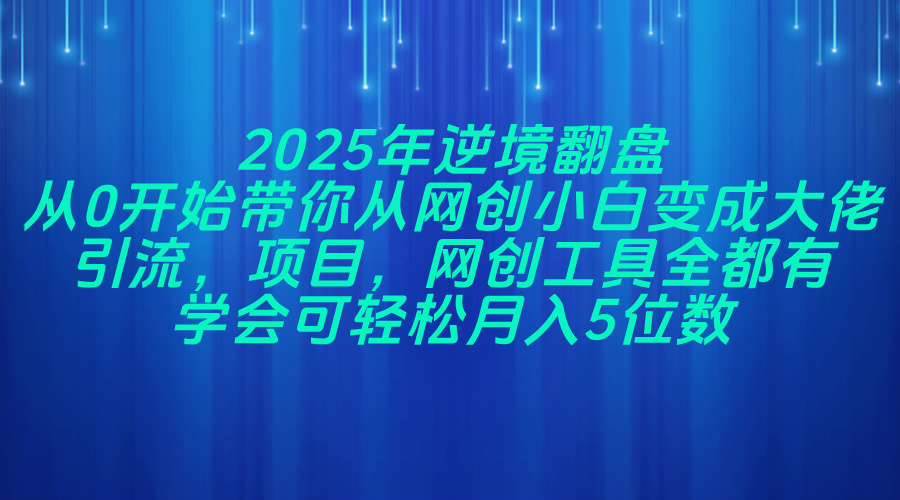 （14473期）2025年逆境翻盘，从0开始带你从网创小白变成大佬，引流，项目，网创工…-777网创网