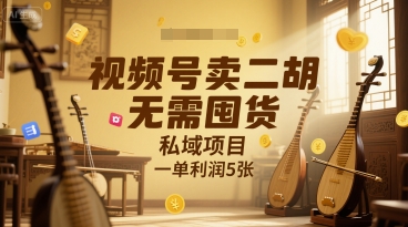 视频号卖二胡,无需囤货,私域项目,一单利润5张