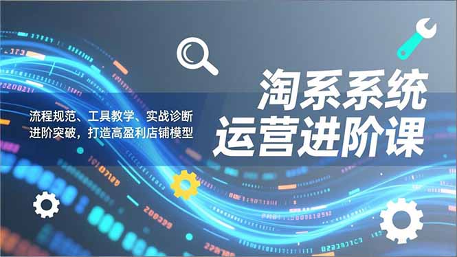 淘系系统运营进阶课2.0，流程规范、工具教学、实战诊断，进阶突破，打造高盈利店铺模型-777网创网