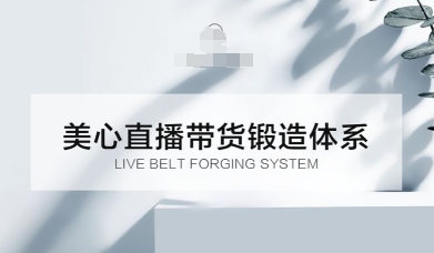 直播带货锻造体系课,5G时代美心一站式帮你开启直播带货之路【音频】