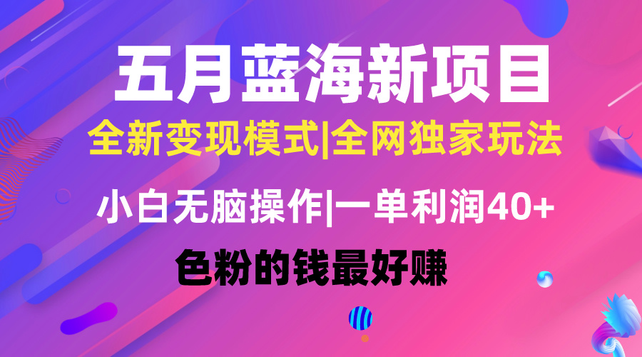 (10477期)五月蓝海项目全新玩法,小白无脑操作,一天几分钟,矩阵操作,月入4万+-777网创网