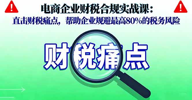 （16232期）电商企业财税合规实战课，直击财税痛点，帮助企业规避最高80%的税务风险-777网创网