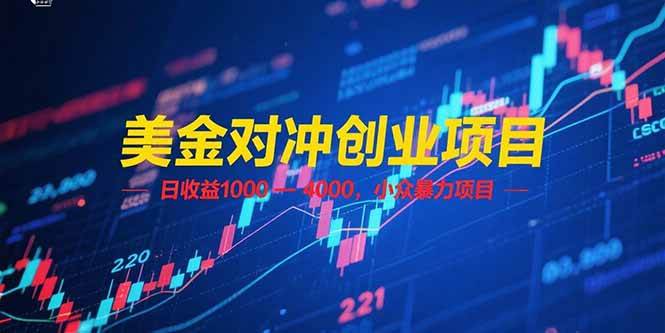 （15187期）美金对冲创业项目，日收益 1000 – 4000，小众暴力项目-777网创网