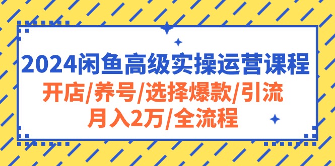 （10711期）2024闲鱼高级实操运营课程：开店/养号/选择爆款/引流/月入2万/全流程-777网创网