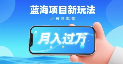 小红书蓝海项目新玩法,一部手机即可月入过W,推荐小白做非常简单认可度超高