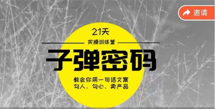 《子弹密码训练营》-用一句话文案勾人勾心卖产品,21天学到顶尖文案大师策略和技巧-777网创网
