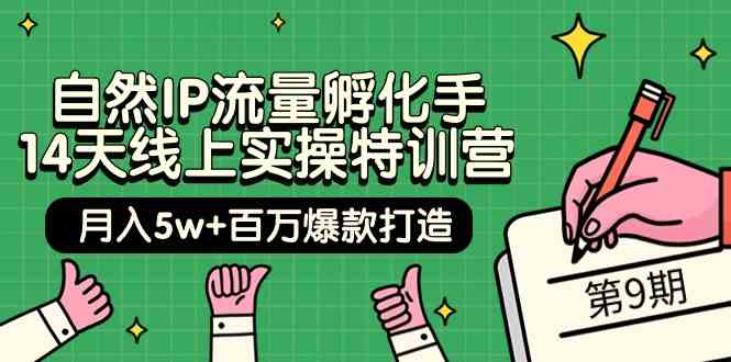 （9881期）自然IP流量孵化手 14天线上实操特训营【第9期】月入5w+百万爆款打造 (74节)-777网创网