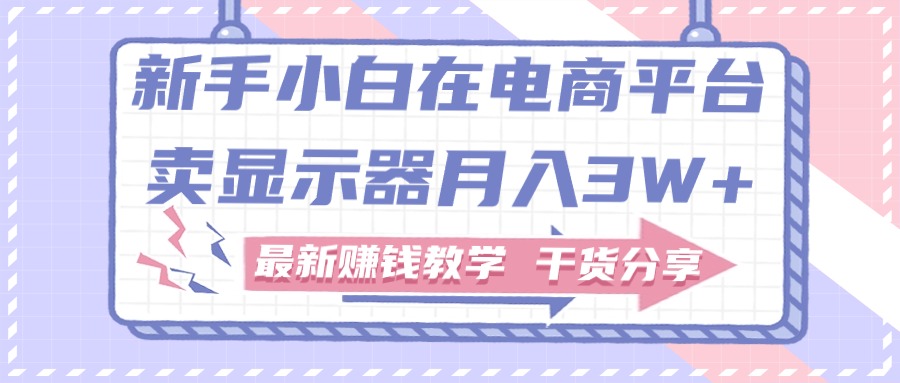 （11053期）新手小白如何做到在电商平台卖显示器月入3W+，最新赚钱教学干货分享-777网创网