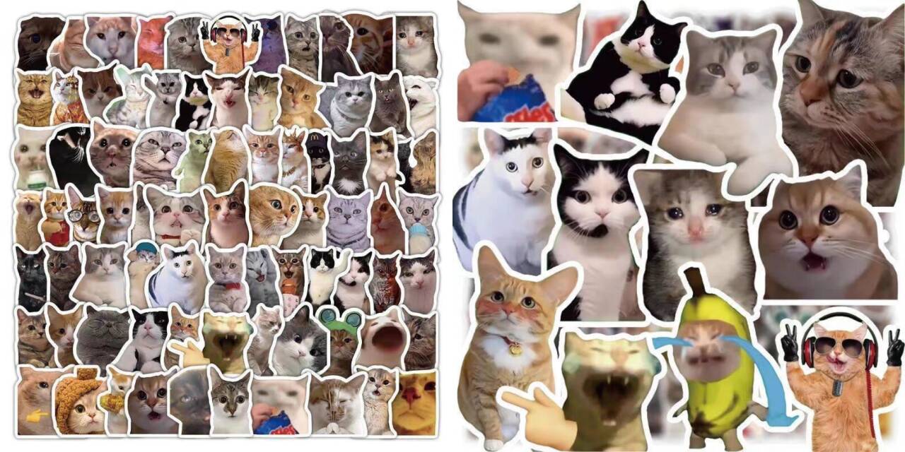 某宝付费素材，猫meme素材绿幕视频剪辑素材小猫咪跳舞，适合抖音B站搞笑短视频合集！-777网创网