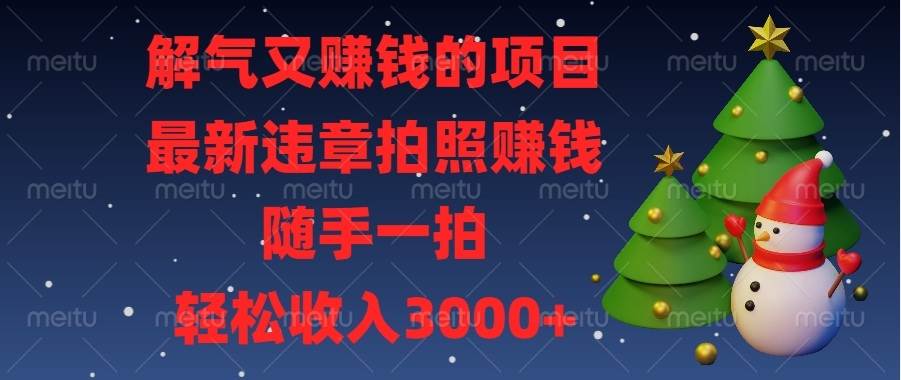 （13804期）解气又赚钱的项目，最新违章拍照赚钱，随手一拍，轻松收入3000+-777网创网