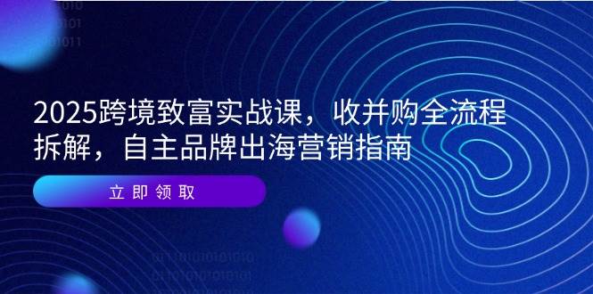 (14975期)2025跨境致富实战课,收并购全流程拆解,自主品牌出海营销指南-777网创网