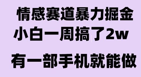 情感暴力掘金项目，新人操作一周挣了2W，长期稳定小白可做【揭秘】-777网创网